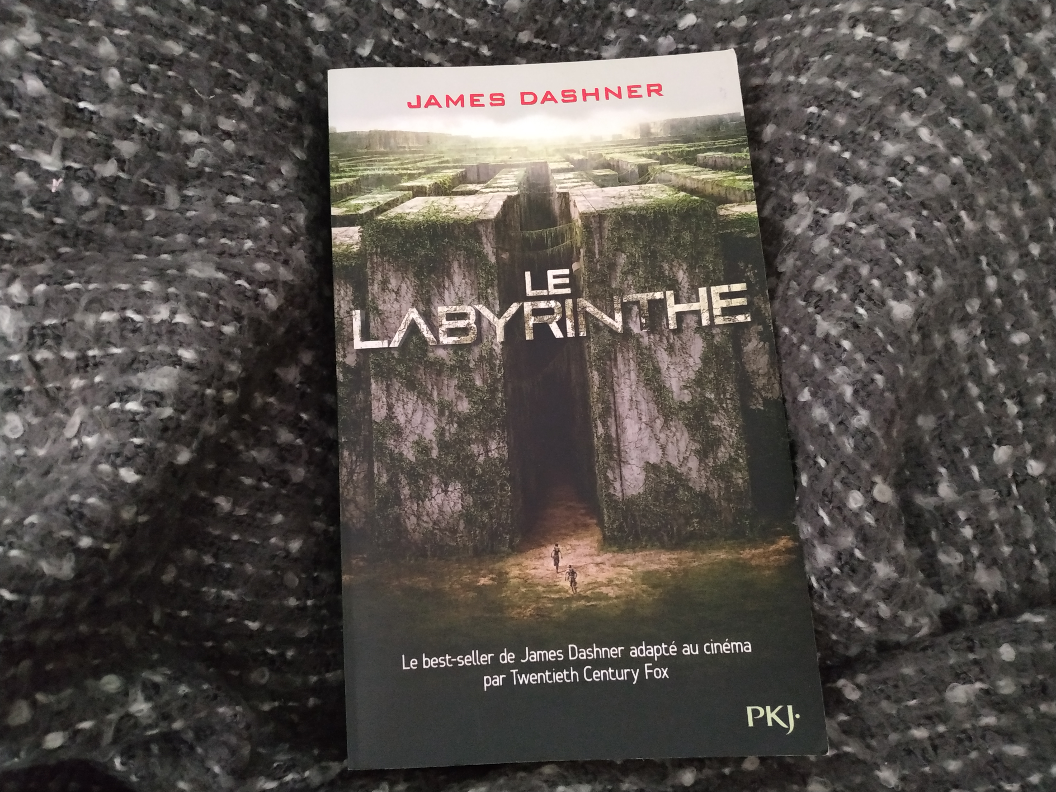 Chronique Le Labyrinthe tome 1